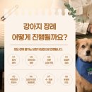 더푸른솔