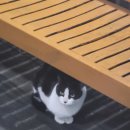 홍한울순대전문점 이미지