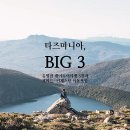 (주)머스트고