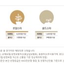 스타클럽 이미지