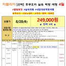 카멜리아 이미지