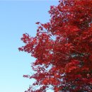 강화읍-11 이미지