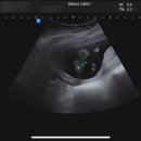 마이더스산부인과의원 이미지