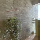 ANIDAR 산후조리원 이미지