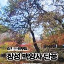 백양사 주차장 화장실 이미지