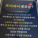 분당 성남 붙임머리 후기 싼곳 추천 광교랑 가까운곳!