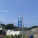 [태안 여행] 태안 숨겨진 맛집_자연산 회와 미역 매운탕이 맛있는 항포구횟집 후기