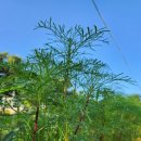 갈매천공원화장실 이미지