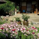 큰길민박 이미지