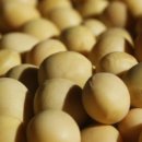 윤주농장 이미지