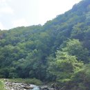 용추구곡 Daum카페
