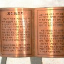 해맑은화진포 Daum카페