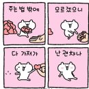 깔끔이세탁 | [Wedding ep.11-4] Dress Tour / 아벨바이케이, 에토프꾸띄르, 시작바이이명순 총정리 &amp; 드레스투어...