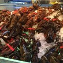 바이킹스워프 동부산점 이미지