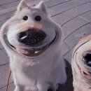 바른생각스터디랩 이미지