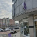 청주 용정동카페 봉싯봉싯 방문후기 :: 햄버거와 소금크림라떼 맛있는곳!