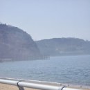 [인천]영흥도 십리포해수욕장 애견동반 후기｜부드러운 모래사장 + 데크길 산책까지 완벽했던 곳!