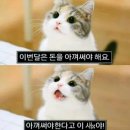 블룸제이