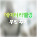 일급혁신자동차 | 부업 아르바이트:: 데이터 라벨링으로 일급 50만원 후기!