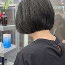 야탑 반려견 | 야탑미용실 분위기부터 서비스까지, 생생하게 느껴본 솔직 후기!