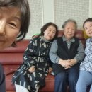 개인(박정자) 이미지