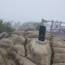 동화천1 이미지