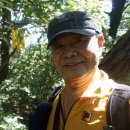 완산-151 Daum카페