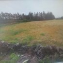 표선면-5 이미지