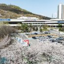 의왕시청 이미지