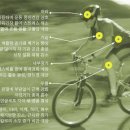 [자전거 타기 운동상식] 자전거 타기(cycling) 운동의 효과 이미지