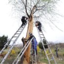 나무고아원입구 이미지