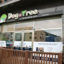 독앤트리 이미지