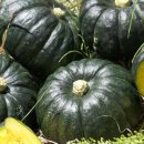 팔도전자 이미지