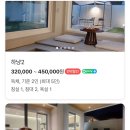 스테이 하냥 이미지