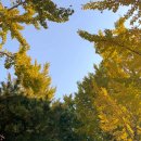 초지대교충전소 이미지