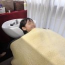 수원-1242 이미지