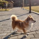 워니시티 이미지