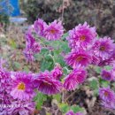 기우농장 이미지