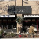 비바돌체(vivadolce) 이미지