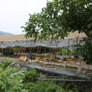 시전리 마을회관 이미지