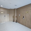 스테이퐁당