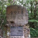 월든삼거리