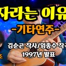 남자라는 이유로-기타연주 - 이미지