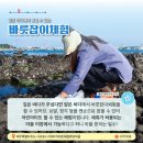 위미1리어촌체험휴양마을 이미지