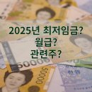 2025년 최저임금이 적용되면 변동되는 월급과 눈여겨 볼 주식 종목들