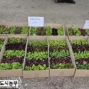 칠보농장 이미지