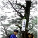 황소목장 이미지