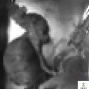 유니동물병원 이미지