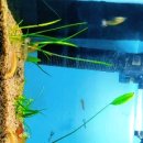 송한의원 이미지