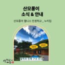 웰펜션민박 | 📌 산모롱이 웰니스 인생학교 공식 채널 총정리 – 홈페이지, 블로그, 카페, 유튜브, 인스타, 틱톡에서...